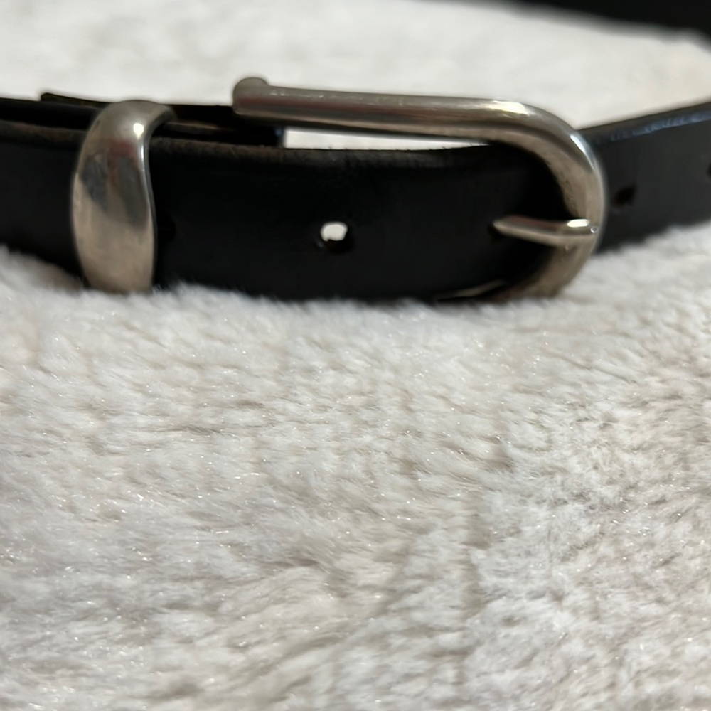 Express leather belt, size L
